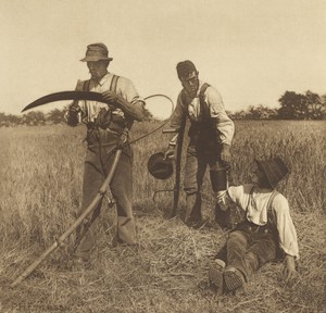 In the Barley-Harvest. [Suffolk.]