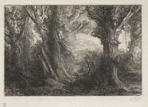 In the Forest at Conteville