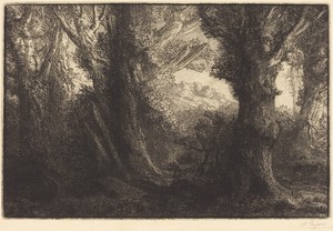 In the Forest of Conteville  (Dans la foret de Conteville)