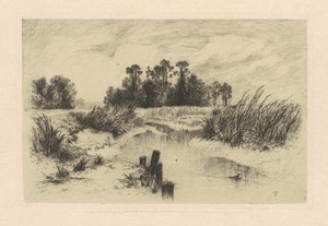 In the Newark Meadows