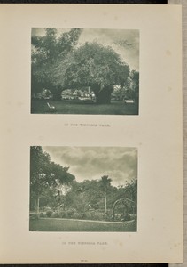 In the Victoria Park