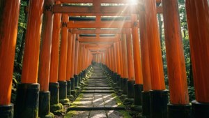Inari's Red Path