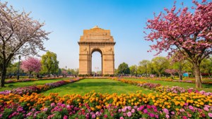 India Gate Spring Flowers