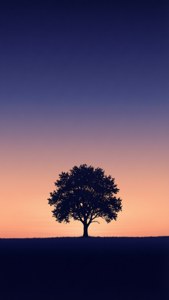 Indigo Peach Sunset