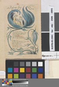 Infant Joy (Plate 28)