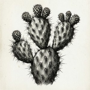 Ink Nopal Sketch