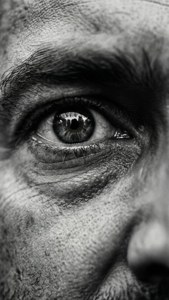Intense Eyes Close-up