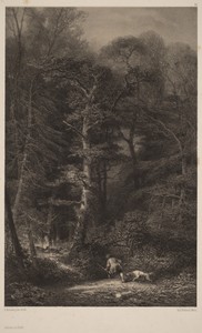 Intérieur de Forêt