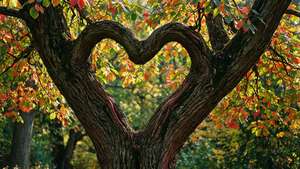 Intertwined Trees