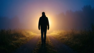 Into the Unseen
