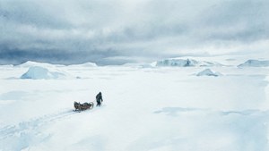 Into the White