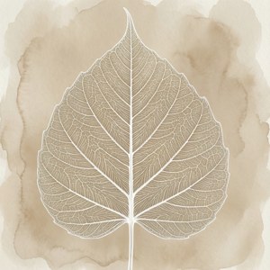 Intricate Vein Leaf Outline