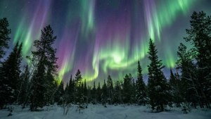 iOS 8 Aurora Forest