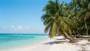 iOS 8 Tropical Beach