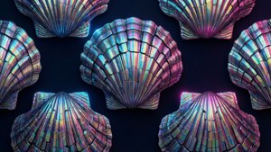 Iridescent Chiton Shell