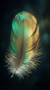 Iridescent Glowing Feather