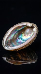 Iridescent Heart