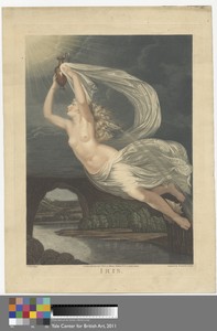 Iris