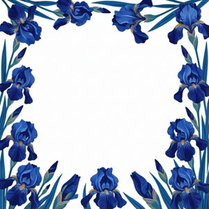 Iris Minimal Border