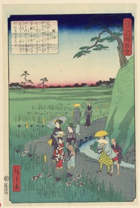 Iris Viewing