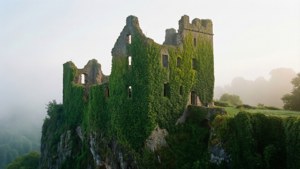 Irish
