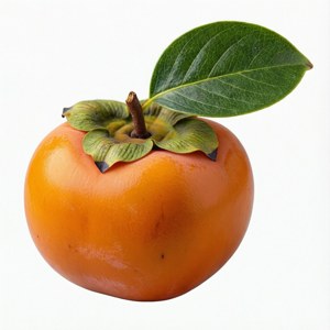 Isolated Persimmon with Leaf