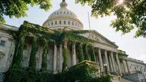 Ivy-Clad Capitol