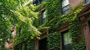 Ivy-Covered Brownstone