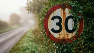 Ivy-Covered Speed Limit