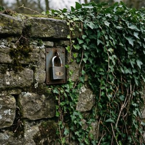 Ivy Lock Stone