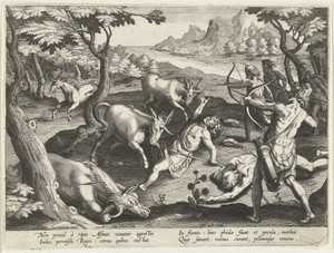 Jacht op eenhoorns
