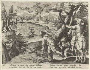 Jacht op kraaien en spreeuwen