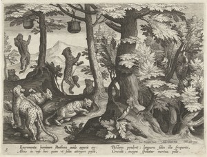 Jacht op luipaarden met menselijke uitwerpselen