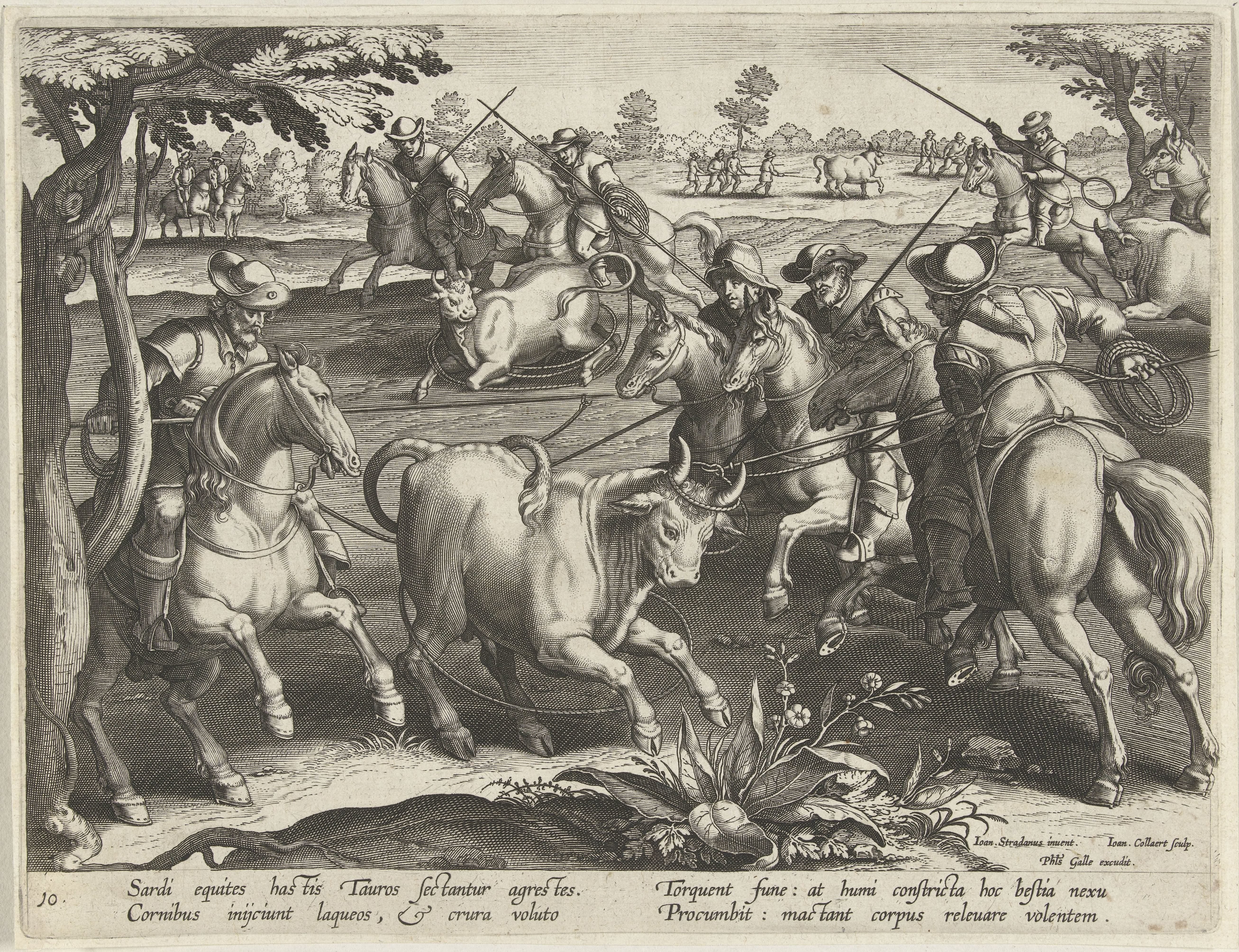 Jacht op stieren by Jan Collaert (II)