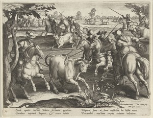 Jacht op stieren