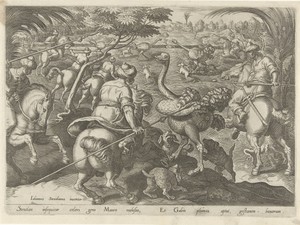 Jacht op struisvogels