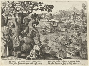 Jacht op vogels met lokuilen en vogellijm