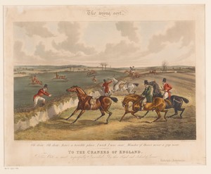 Jachtpaarden die bokken en weigeren te springen