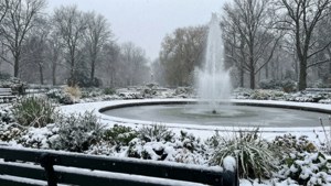 Jackson Park Winter