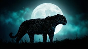 Jaguar Moon Silhouette