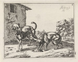 Jaloerse hond