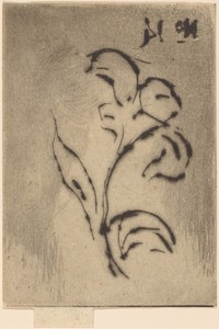 Jeanette, June 1887 / Flower