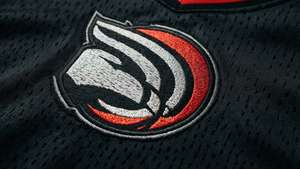 Jersey Logo Detail