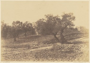 Jérusalem. [Porte d'Hérode]
