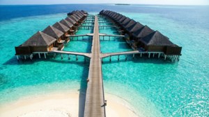 Jetty to Paradise