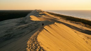 Jockey's Ridge Dunes