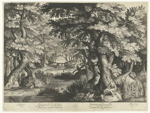 Johannes de Doper in de wildernis