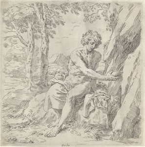 Johannes de Doper in de wildernis