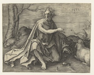 Johannes de Doper in de woestijn
