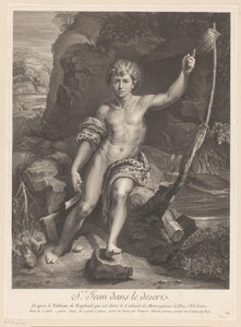 Johannes de Doper in de woestijn